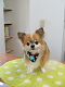 DSCF9293[1]_thumb.png